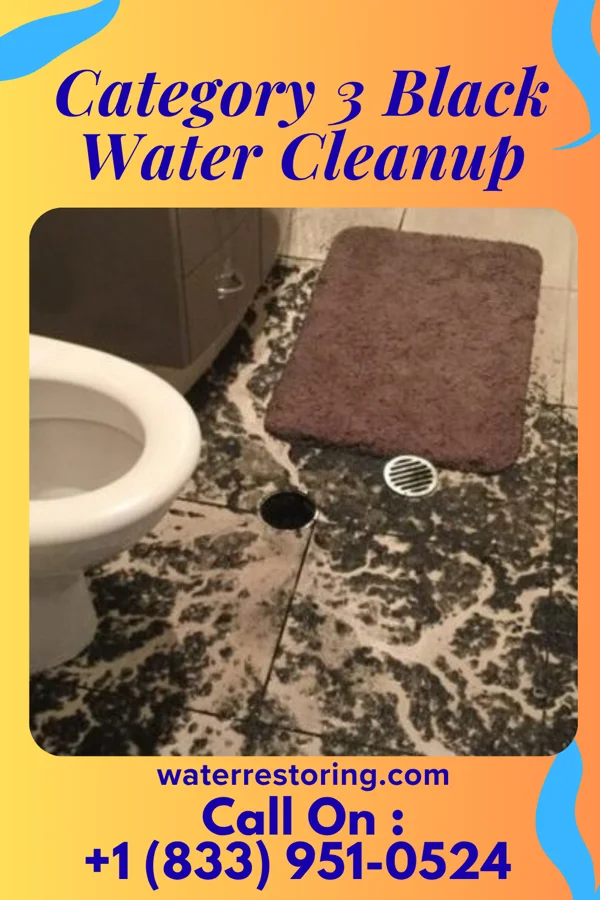 Category 3 Black Water Cleanup in Boerne, TX